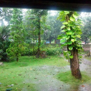 mariya titik profile icon