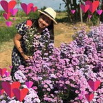 มาลีวรรณ บำเพ็ญธรรมนำสุข profile icon