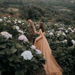 Pannita Poonsombat profile icon