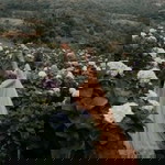 Pannita Poonsombat profile icon