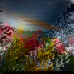 Gerona Ivy Geron profile icon