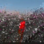 Panida Kingphet profile icon