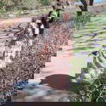 Bam Bam profile icon