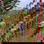 Mary Glyen Tomaquin Almonia profile icon