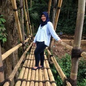 novi Susanty profile icon