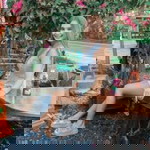 ณัฐจารี หลักทองคำ profile icon