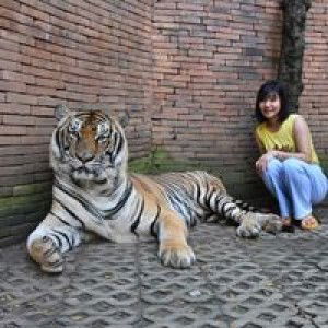 Jaruwan Intanon profile icon