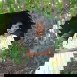 Elaine Delos Reyes profile icon