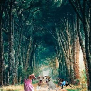 Ayessa Chuidian profile icon