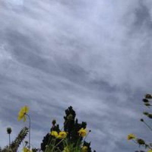 Bita Hamda Tazkiya profile icon