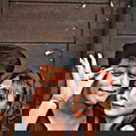 Rem Galiposo profile icon