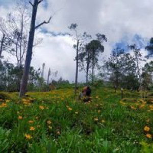 Yuli Wahyuni profile icon