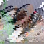 เรียกอ้วน ก็ได้เด้ profile icon