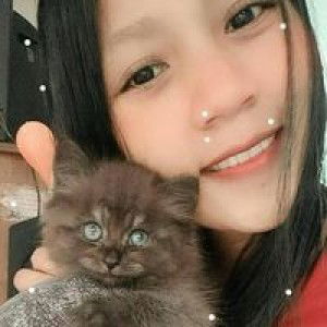 Alby Ardiaz profile icon