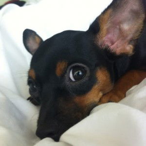 Thaksina Vava profile icon