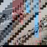 Sinta Nuriyah profile icon