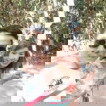 Onanong Thadchai profile icon