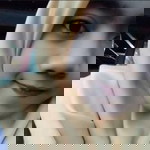 Laa Fi Syai profile icon