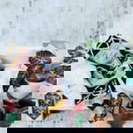 Madu Habang profile icon