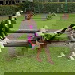 Joylen Baldres profile icon