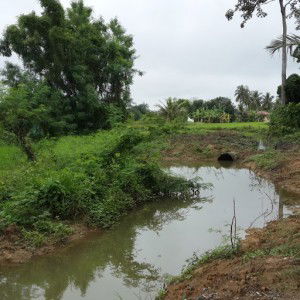 asyu huda profile icon