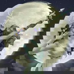 Diana Carolino profile icon