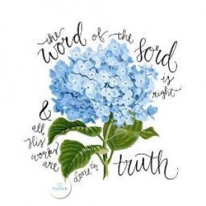 nie sani profile icon