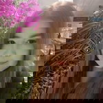 กชพร จิตโชติ profile icon