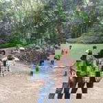 Nurul Ali Abdullah profile icon