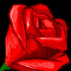 safitri puspasari profile icon