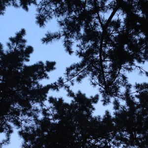 Tyra Shuhaimi profile icon