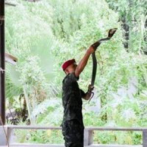 นักรบ สมใจ profile icon