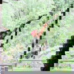 นักรบ สมใจ profile icon