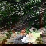 Aby Udiong profile icon