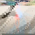 Shaira J. Gado profile icon