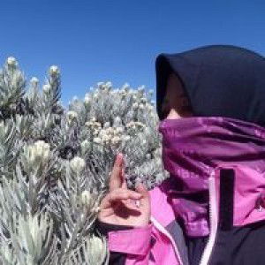 Liinda Cahya profile icon