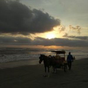 Mitha Adj profile icon