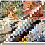 Ary Santhi profile icon