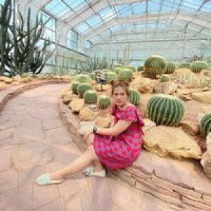 Ked Kaew profile icon