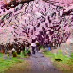 Aisyah Istiqamah Assadah profile icon