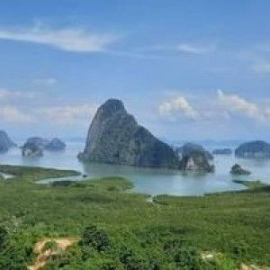 เฟริน์ เฟริน์ profile icon