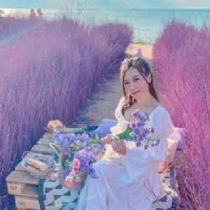 NoOn NoOnnee profile icon