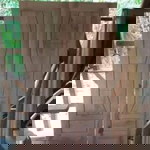 Rusdy Nha Tri profile icon