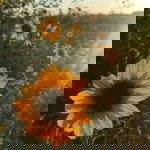 Sifa Fauziah profile icon