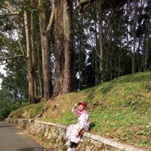 Defti Eka Setiani profile icon