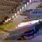 Dempsey Abraham profile icon