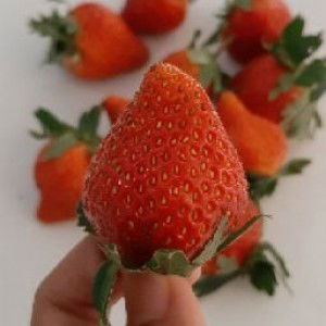 Indri Pratiwi profile icon