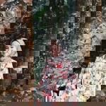 Mai Elva profile icon