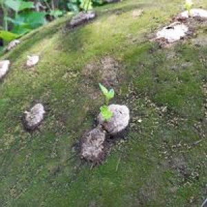 เวลา ของคนคนหนึ่ง profile icon