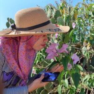 Sumiati Nss profile icon